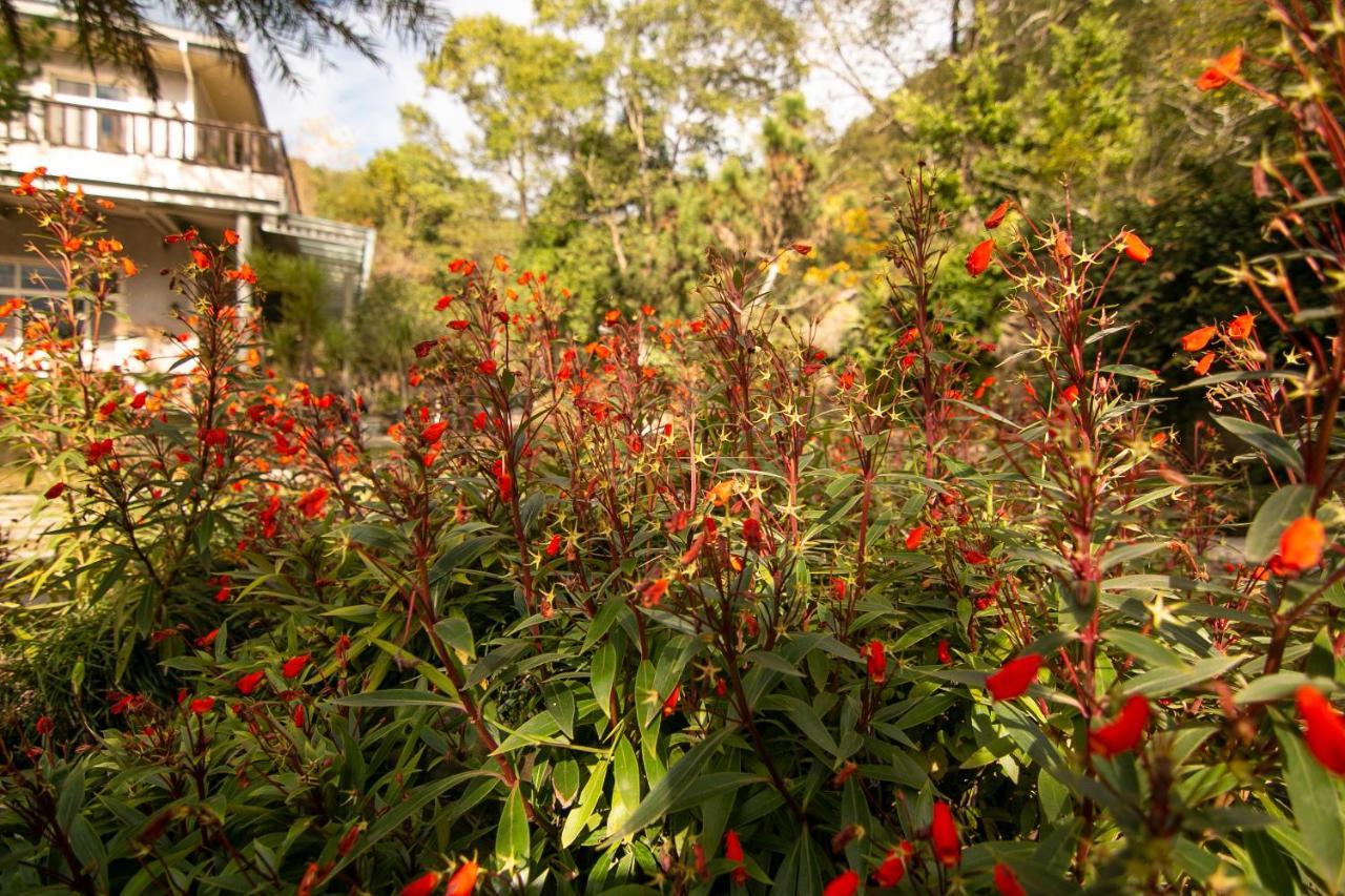 Deng Mei Homestay Hengshan Eksteriør bilde