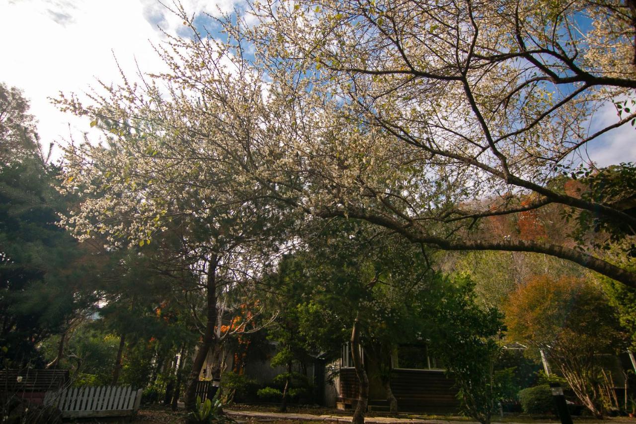 Deng Mei Homestay Hengshan Eksteriør bilde